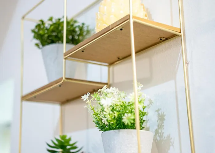 Hayy Comfort In The Heart Of Kirkstall